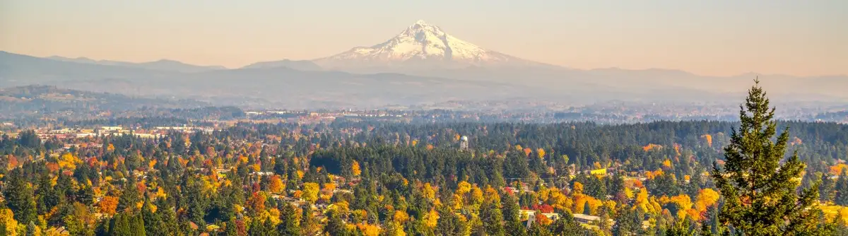 Portland Skyline
